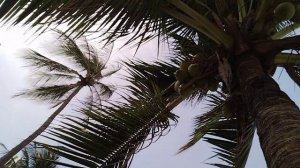 Прогулка по набережной Нячанга. Вьетнам в январе