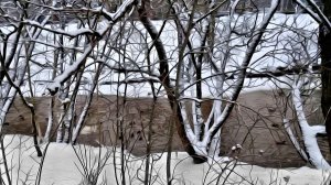 Романтичная прогулка