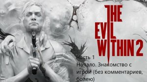 НАЧАЛО. ЗНАКОМСТВО С ИГРОЙ The Evil Within 2 #1
