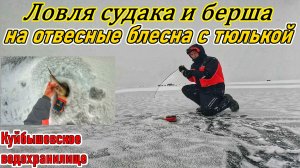 СУДАК И БЕРШ НА БЛЕСНУ С ТЮЛЬКОЙ/КУЙБЫШЕВСКОЕ ВДХР/ЛОВЛЯ СУДАКА И БЕРША/РЫБАЛКА 2026/Р.ВОЛГА/РЫБАК87