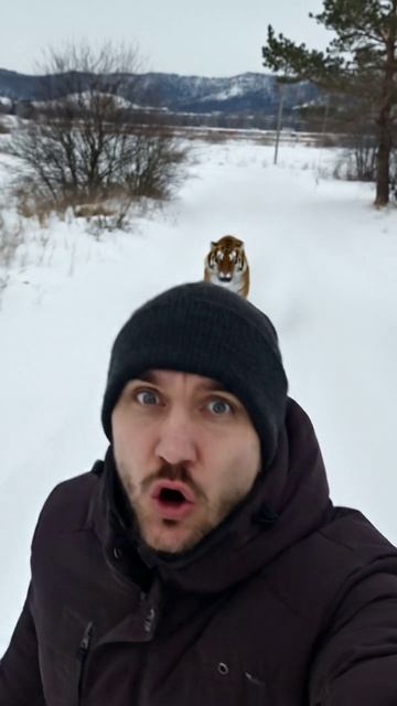 Генерация видео через нейросеть в 2 клика! смотреть онлайн