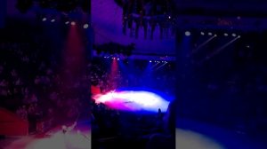 Песчаная сказка