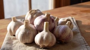 ЧЕСНОК В КУЛИНАРИИ