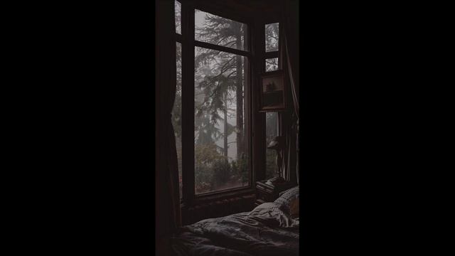 Мягкие звуки дождя для сна. Шум дождя смотреть онлайн