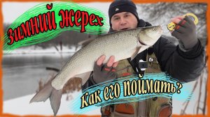 Зимний жерех. Как его поймать?