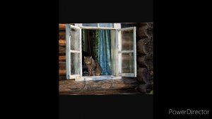 Сельское окно