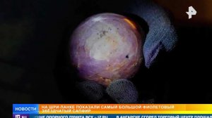 На Шри-Ланке показали редчайший звездчатый сапфир в 3,5 тыс. карат