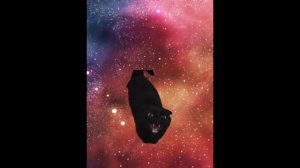 Тимошка уи-иа// Не забывайте про T||G канал TIMON6668