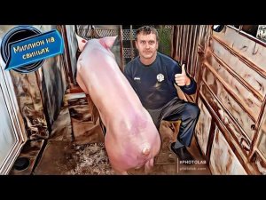 ‼️Китайская автономка‼️ Для отопления свинарника‼️Морозы - 40