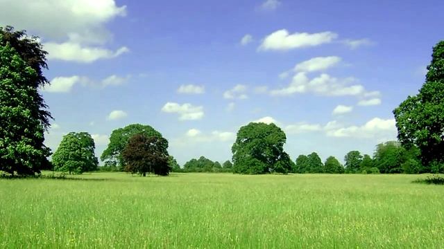 Валерий Плесеинов - Где-то лето