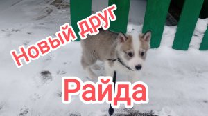 Знакомьтесь, Райда.