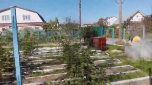 Лето 2025. Мой ежевичник.