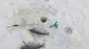 VID_20260118_111944_949