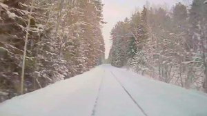 прогулка по лесу