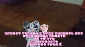 простите если кто то обиделся на меня😔