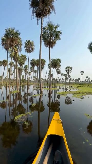 El Bañado La Estrella - это одно из крупнейших водно-болотных угодий в Южной Америке и природный ра