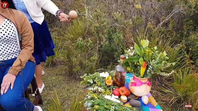 ДОНЬЯ РОЗА - ДУХОВНОЕ ОЧИЩЕНИЕ В ПАЧАМАМЕ - Звуки природы смотреть онлайн