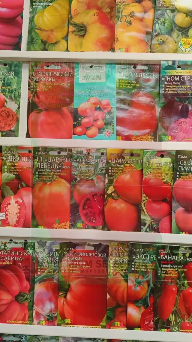 Присматриваю семена томатов смотреть онлайн