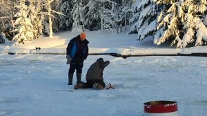 Форель на резину.