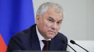 Володин посочувствовал гражданам ФРГ после заявления Мерца о больничных