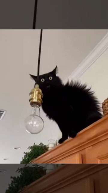 Наэлектризовался