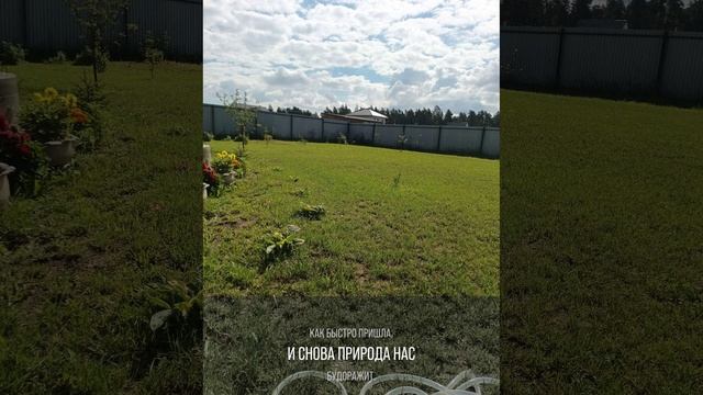 Скоро весна смотреть онлайн