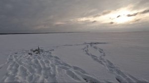 Зимняя рыбалка в Репино. СПб