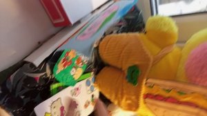 утренний влог уточки