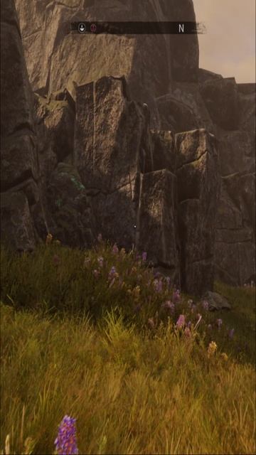 Новый регион 👍👌 смотреть онлайн