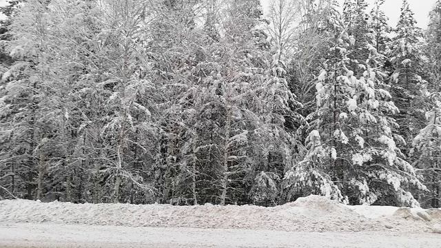 Зимняя сказка