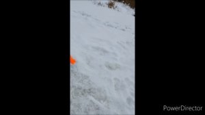 ловля щуки на жерлицы