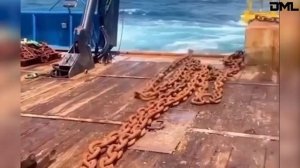 Лучшая подборка видео со всего света. Видео из интернета.