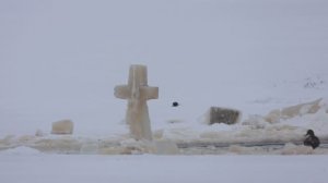 Утки купаются в Иордани, проруби на крещение, наблюдение птиц в Великом Новгороде, 18 января 2026