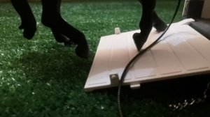 Шляйх сериал " пойманная " первая серия: ловля