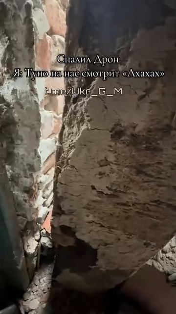 🇺🇦Боевики ВСУ увидев российский дрон, спрятались в одном из гаражей и с ухмылкой наблюдали…🔽🔽🔽 смотреть онлайн