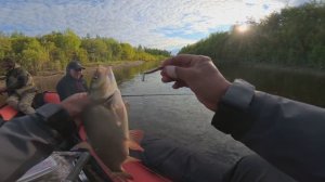 ГДЕ ТО В ОЧЕНЬ БЕЗЛЮДНОЙ РЕКЕ