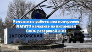 Ремонтные работы под контролем МАГАТЭ начались на питающей ЗАЭС резервной ЛЭП