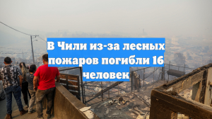 Минимум 16 человек погибли в результате лесных пожаров на юге Чили