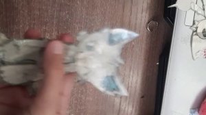 я сделала пантеру Чери и ещё Катю (кого там ещё сделать надо? ДЕЛАЮ НЕ ВСЕМ! только самым близким др