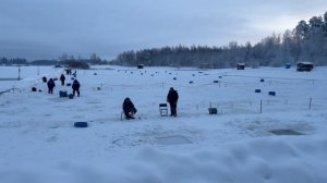 Запуск форели !!!