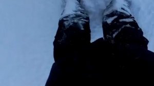 Сегодня на набережной Северной Двины зафиксировали работу трактора, который убирал снег. Обратило...