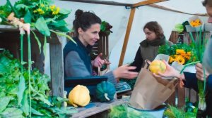 Революционное агролесоводство в Германии!