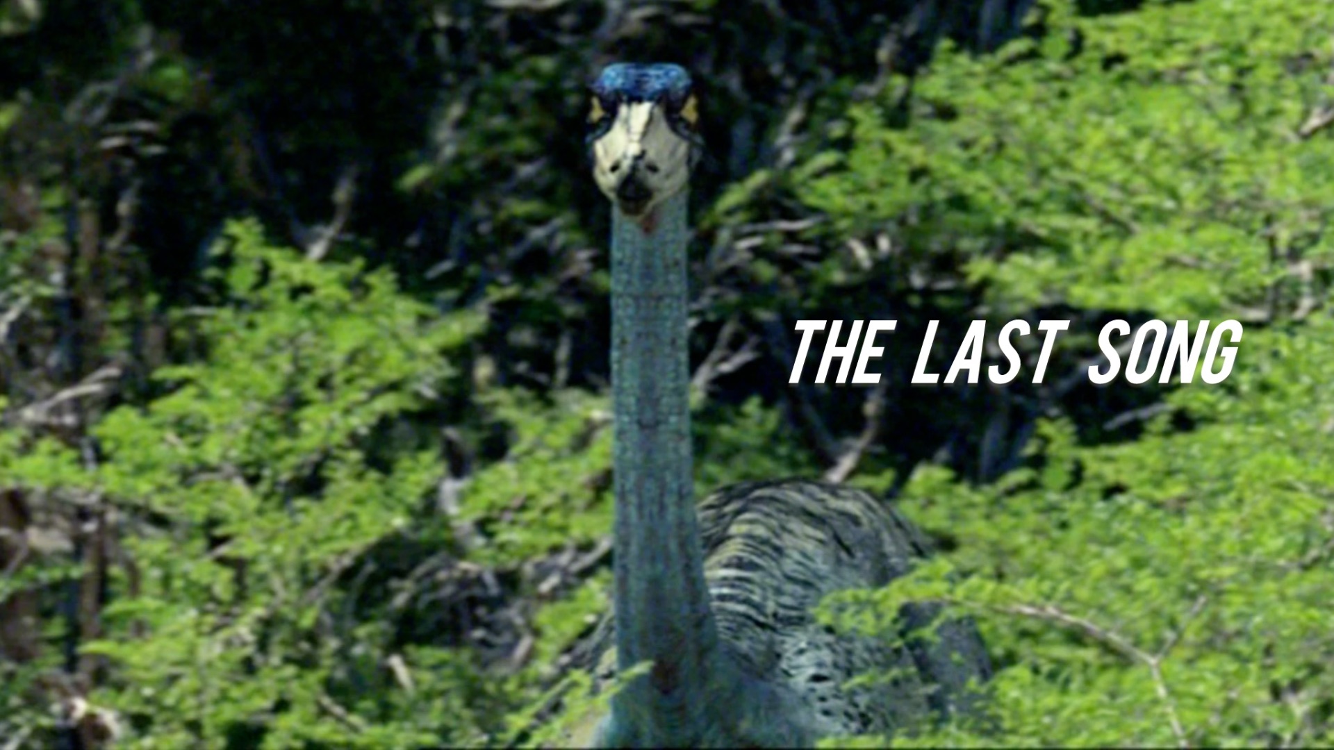 Клипы: Орнитомим - The Last Song смотреть онлайн