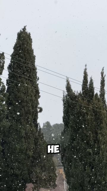 Снег и морозы так и не уходят из Крыма. Крым сегодня #крым #погодавкрыму #крым2026 смотреть онлайн