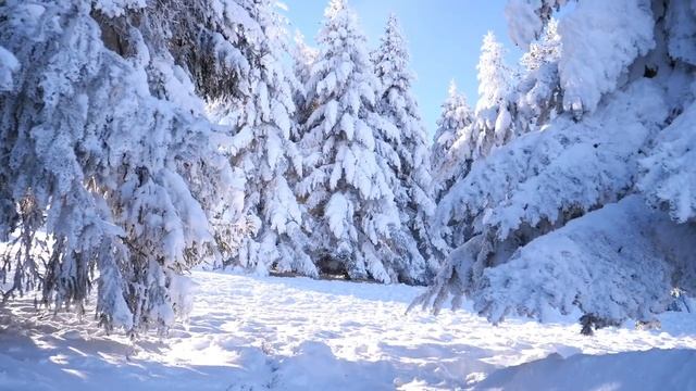 19 Января - Все задуманное исполнится. смотреть онлайн