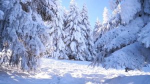 19 Января - Все задуманное исполнится.