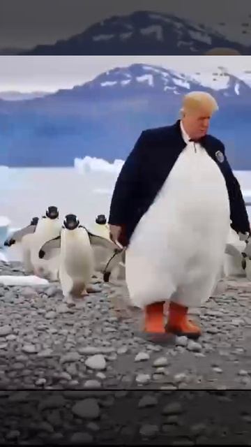 🇺🇸Доня Трамп вводит пошлины для всех стран, которые отправили по несколько человек военных в…🔽🔽 смотреть онлайн