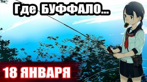Где половить БУФФАЛО? 2 Точки... ● Русская Рыбалка 4 | РР4