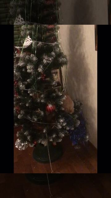 С крещением. Если дедушка елку не разбирает, надо ему помочь Эпизод 3