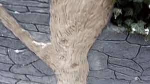 Первый опыт 10 лет назад